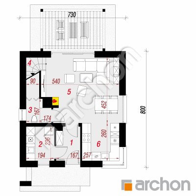Dom w borówkach (N)