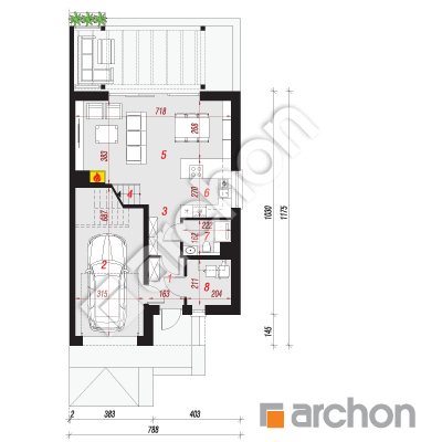 Dom w narcyzach (BA)