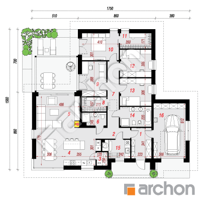 Dom w piwoniach 3 (G)