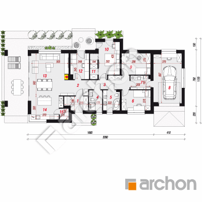 Dom w peperomiach (G)