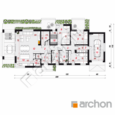 Dom w peperomiach 3 (G)